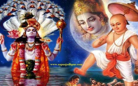 Jal Jhulni Ekadashi 2022 date, जलझूलनी एकादशी महत्व, परिवर्तिनी एकादशी व्रतकथा, डोल ग्यारस व्रत-पूजन विधि, वामन एकादशी, भाद्रपद शुक्ल पक्ष एकादशी
