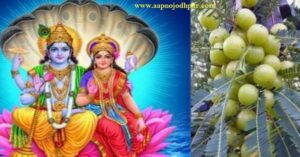 Amla Navami 2022, आंवले पेड़ की पूजा विधि, आंवला नवमी कथा, आंवला नवमी शुभ मुहूर्त, अक्षय नवमी महत्‍व, Importance of Amla, आंवला नवमी पर उपाय