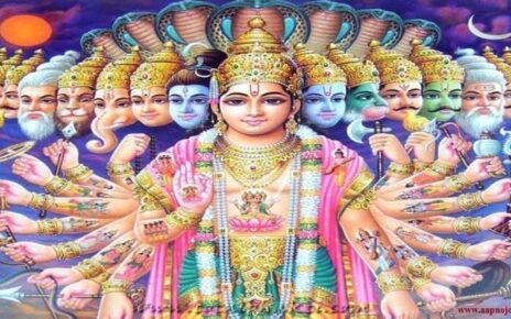 Saphala Ekadashi 2024 date, जीवन सफल बनाने के व्रत, सफला एकादशी व्रत-पूजा विधि, पौष माह कृष्ण पक्ष एकादशी महत्व, पोह ग्यारस कथा, व्रत नियम