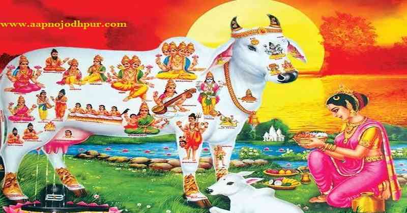 Bachh Baras 2025, भाद्रपद कृष्ण पक्ष द्वादशी का उद्यापन, गौवत्स द्वादशी पूजन विधि-सामग्री, बछ बारस के नियम, बछ बारस कथा, वत्स द्वादशी महत्व